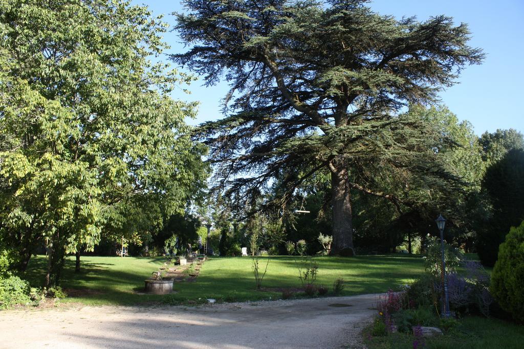 Chateau Castelrives Bessieres Bilik gambar