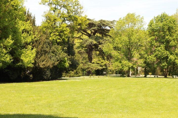Chateau Castelrives Bessieres Luaran gambar